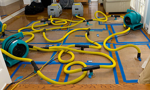 Professional Flood Damage Restoration technician working in Edward, NC